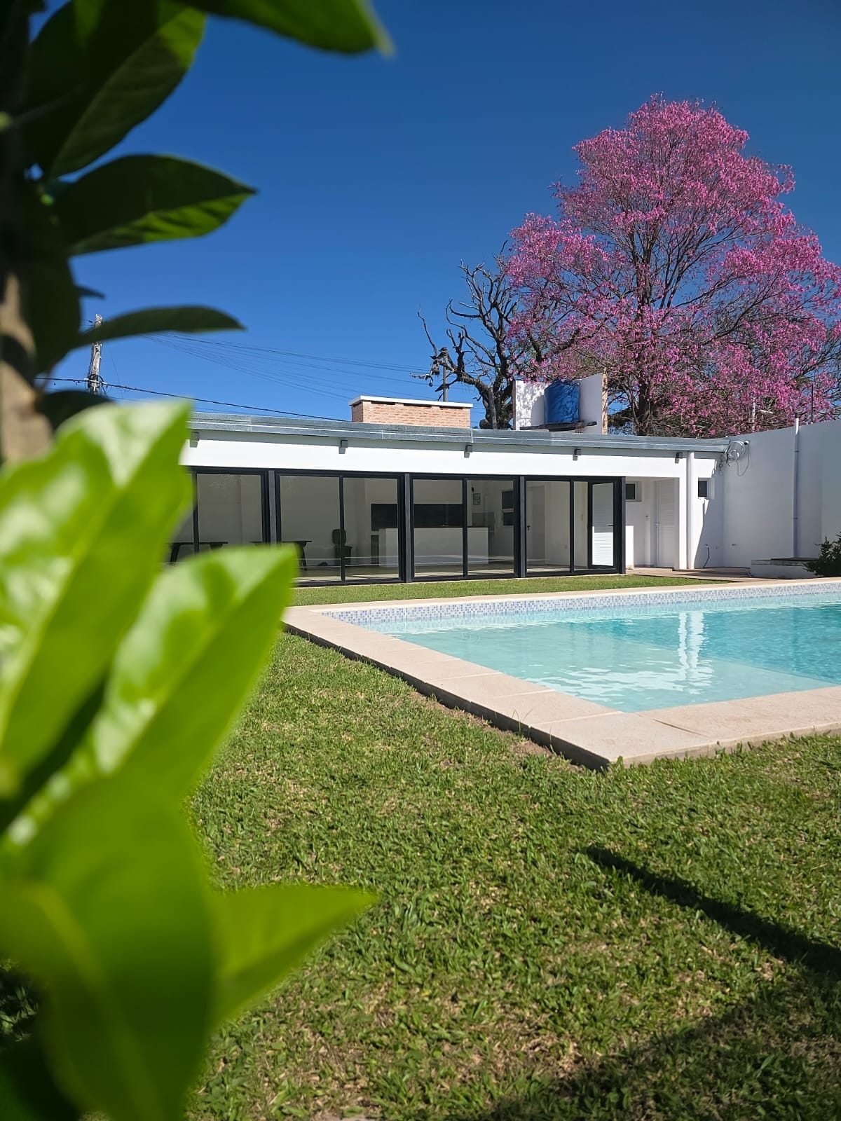 Vista exterior del Quincho La Oma con pileta y jardín florecido